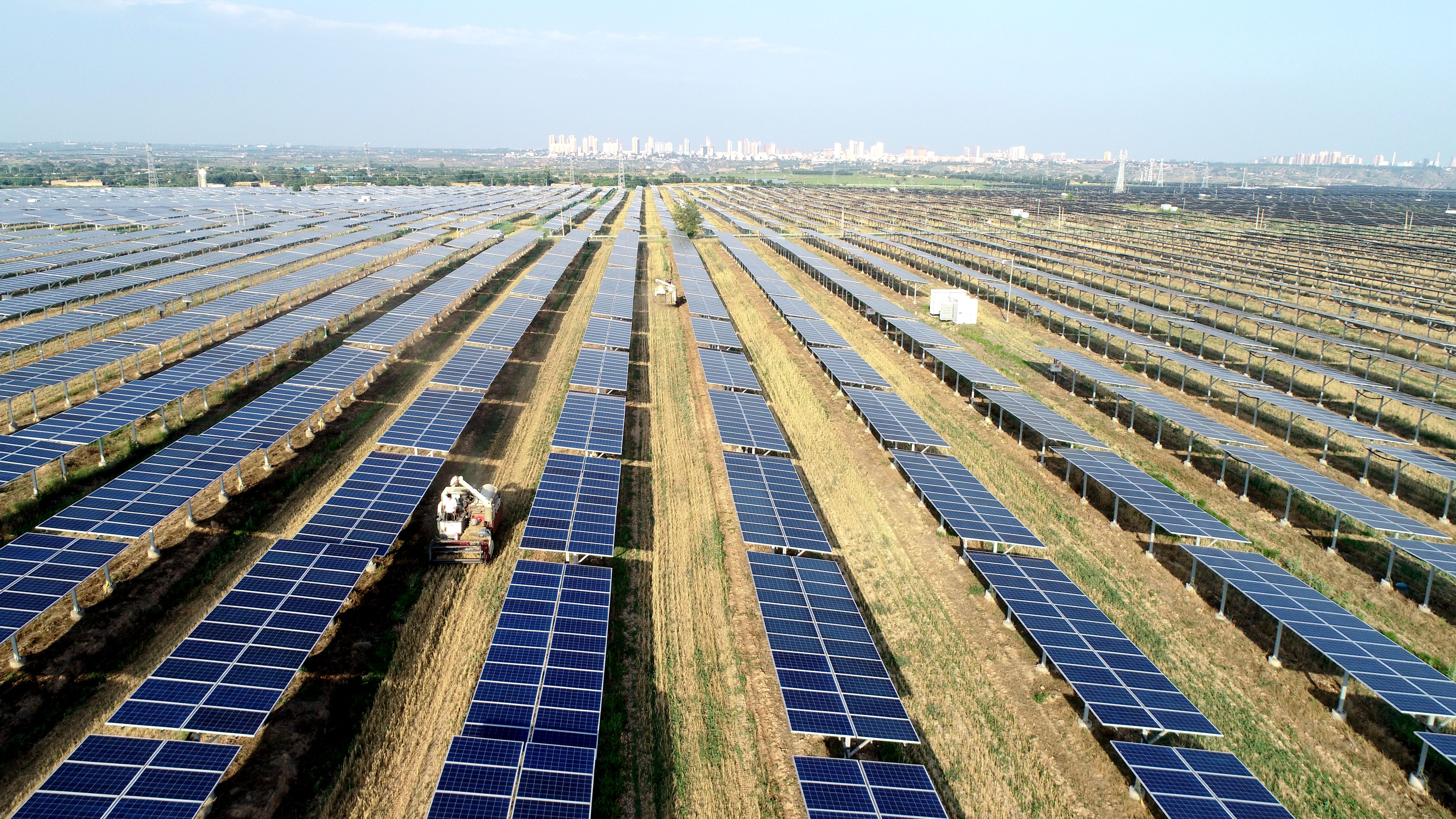 1662444545147064382.jpg 2.大唐澄城安里10万千瓦农光互补光伏电站采取“农光互补”模式,不仅大大提高土地综合利用率,还带动当地村民在家门口就业,促进农民增收。任永红摄 .jpg