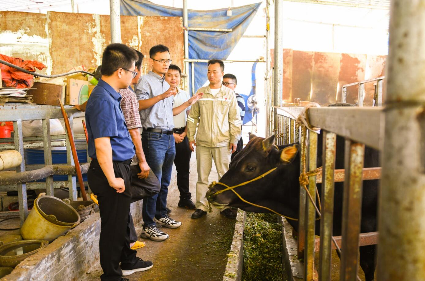 1698026651842097411.jpg QQ截图20231023100633.jpg